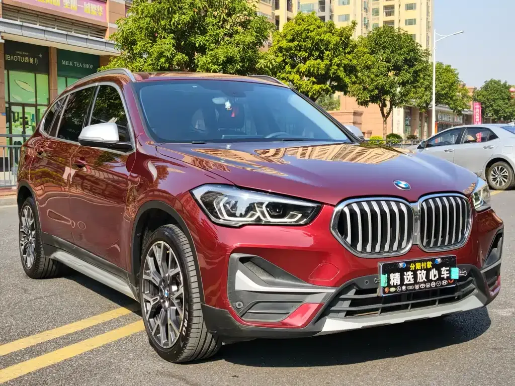 BMW X1 2021 из CN, фото 9