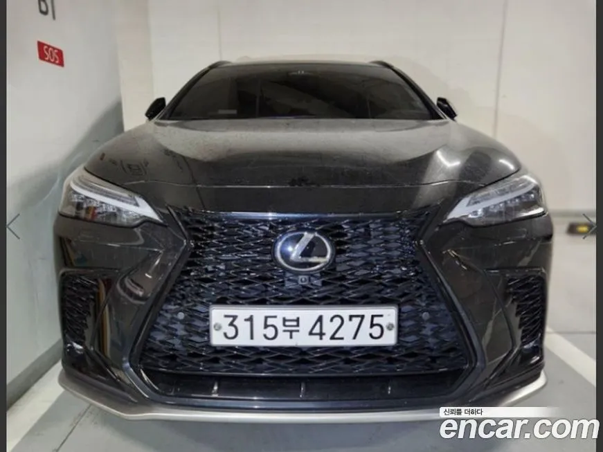 Lexus NX 2022 из KR, фото 4