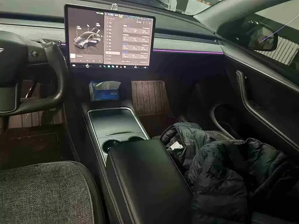Tesla Model Y 2024 из CN, фото 6