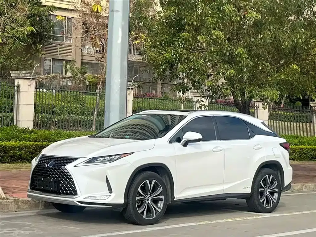 Lexus RX 2022 из CN, фото 1