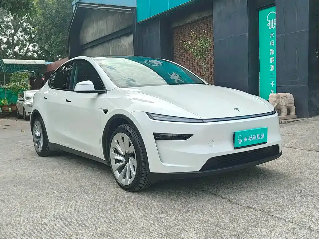 Tesla Model Y — фото 8