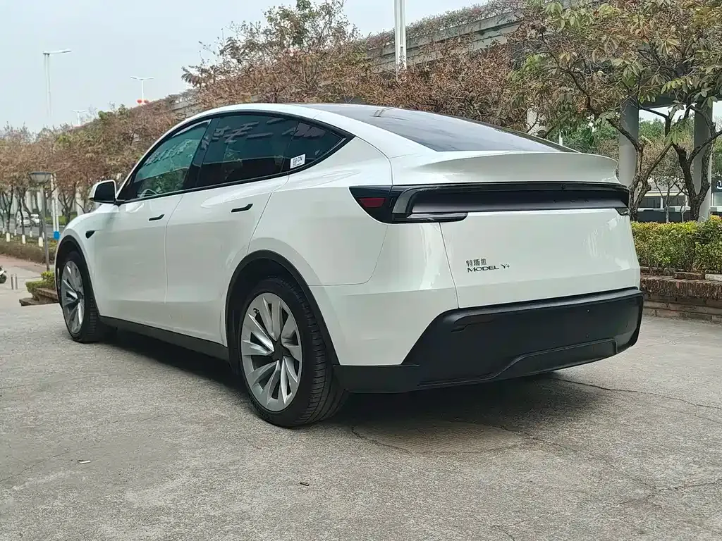 Tesla Model Y — фото 9