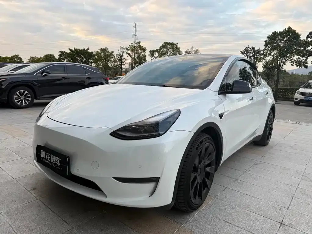 Tesla Model Y 2021 из CN, фото 1