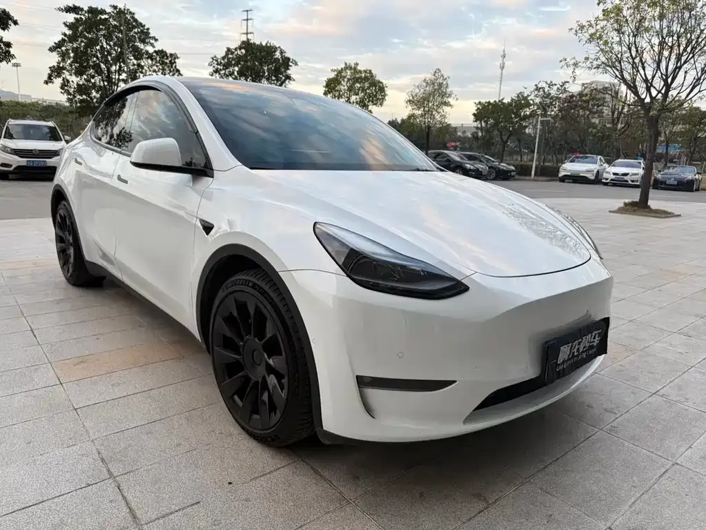 Tesla Model Y 2021 из CN, фото 9