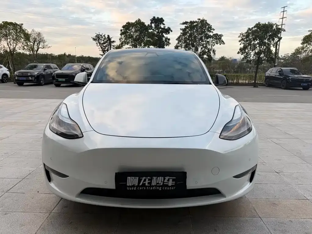 Tesla Model Y 2021 из CN, фото 7