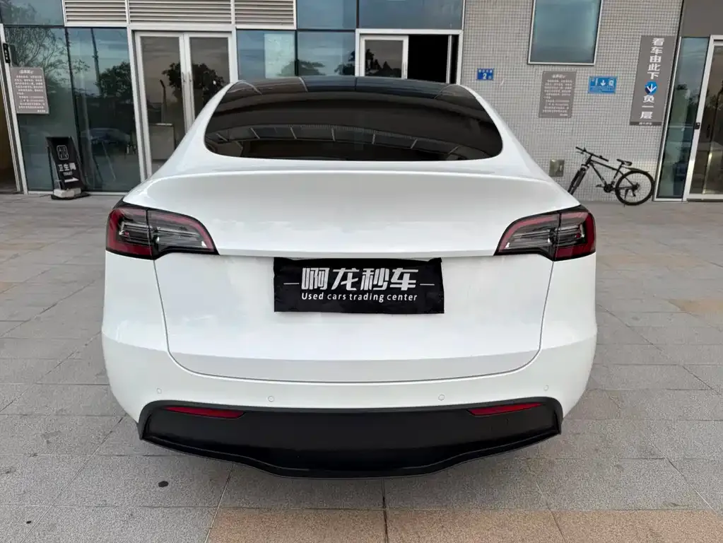 Tesla Model Y 2021 из CN, фото 4