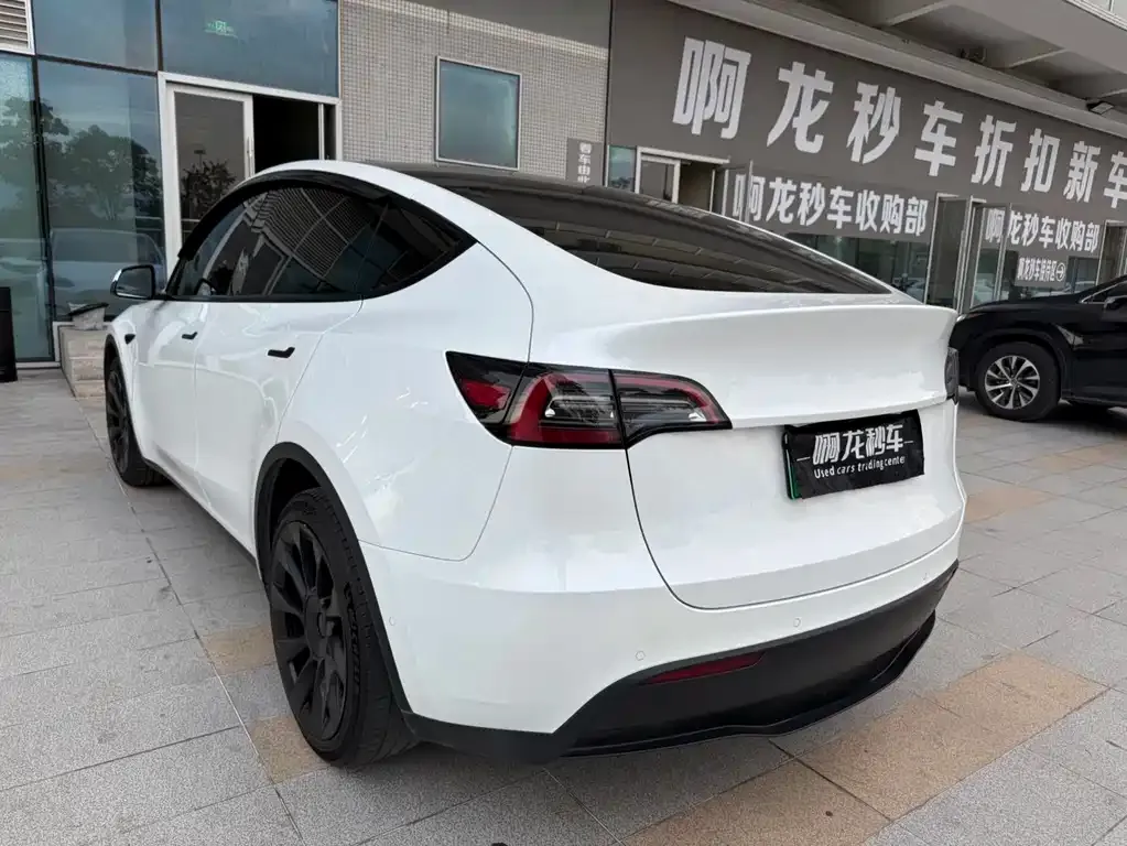 Tesla Model Y 2021 из CN, фото 2