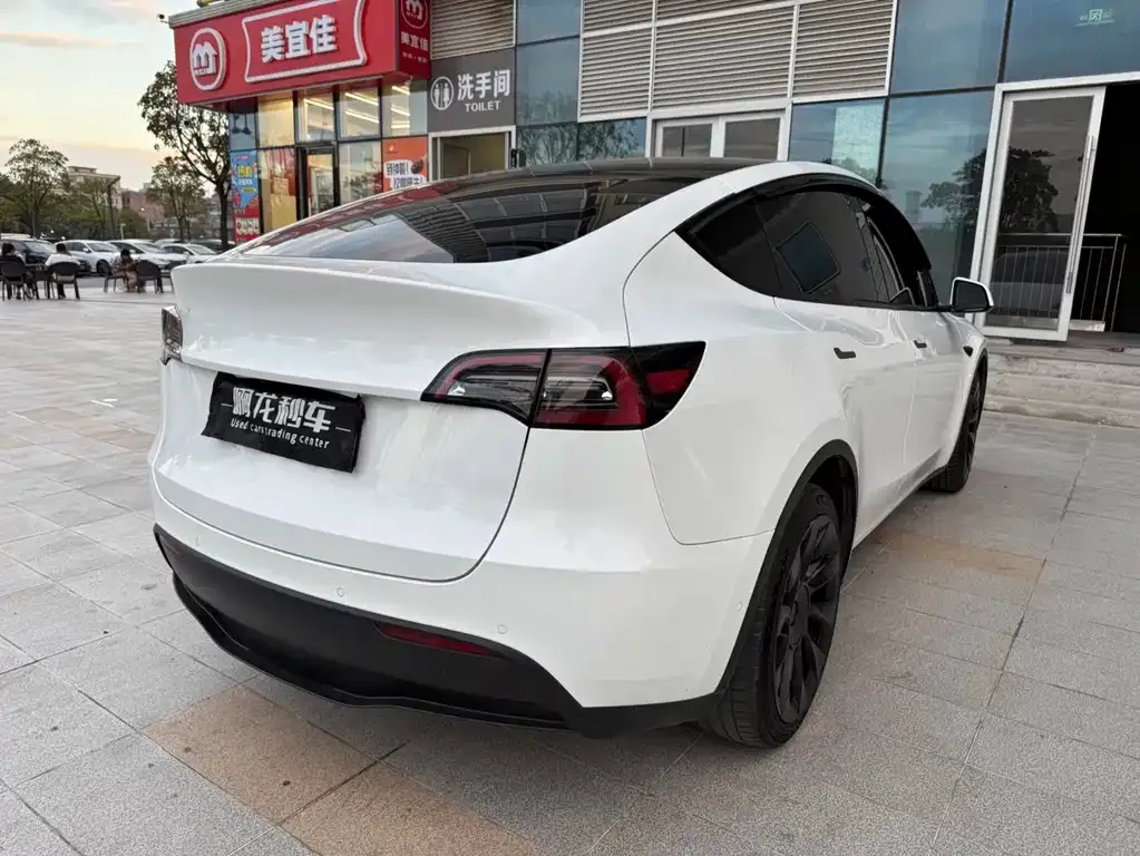 Tesla Model Y 2021 из CN, фото 5