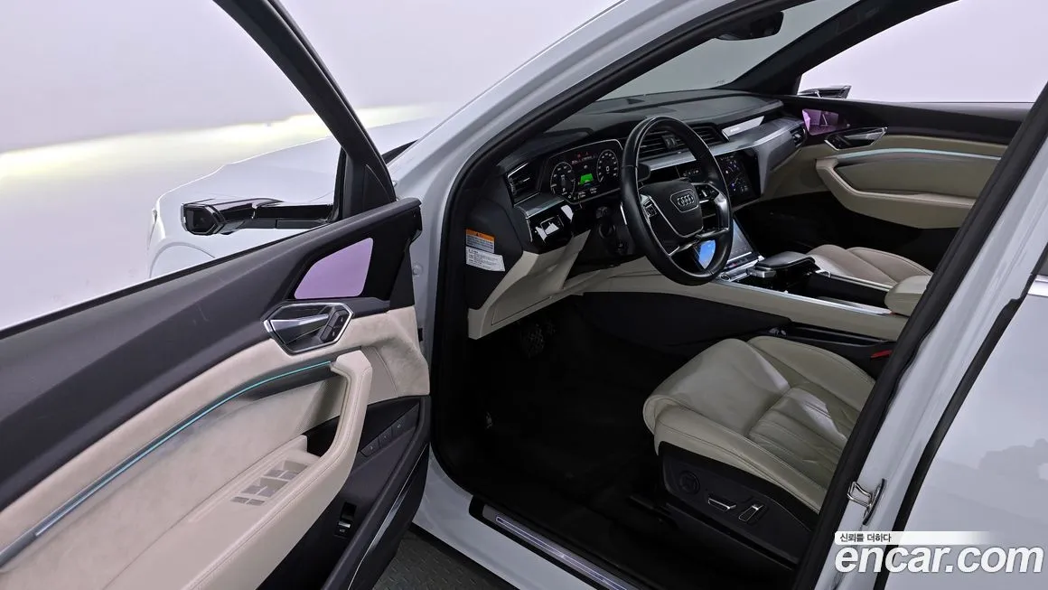 Audi e-tron 2021 из KR, фото 10