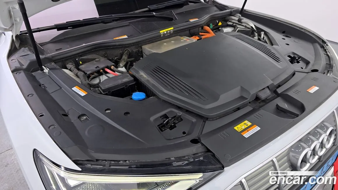 Audi e-tron 2021 из KR, фото 8