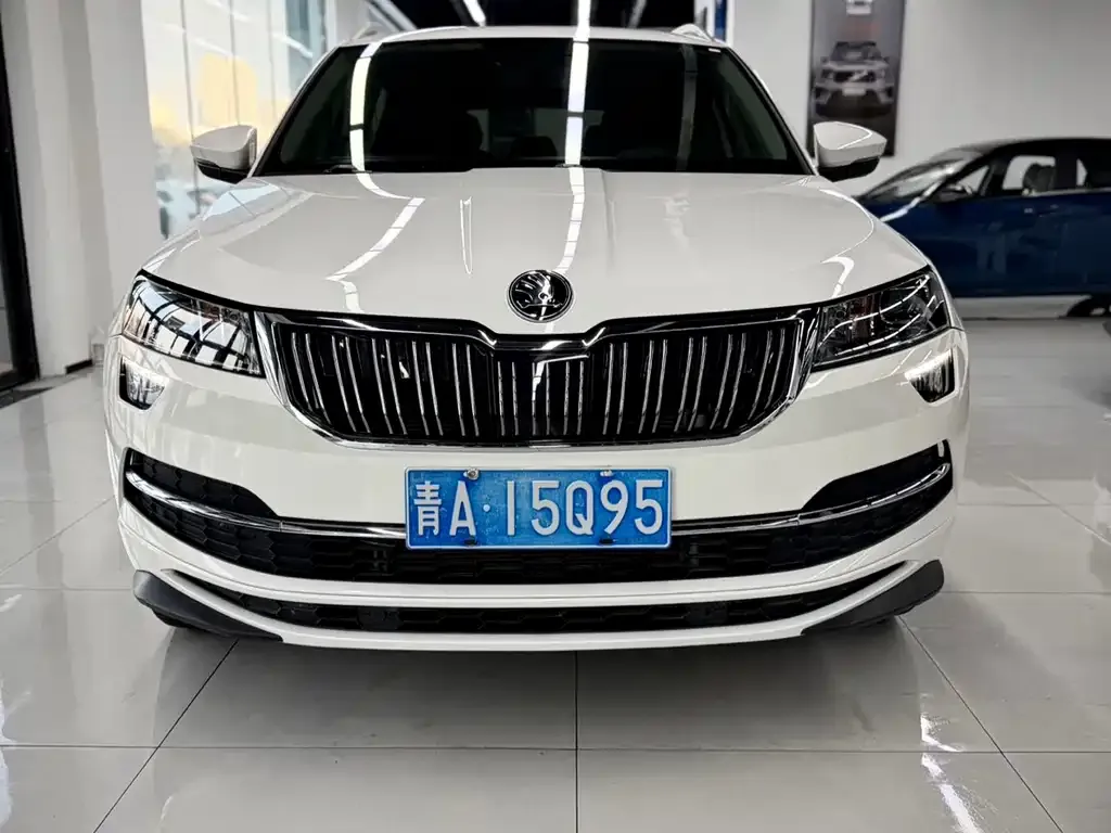 Skoda Karoq 2022 из CN, фото 6