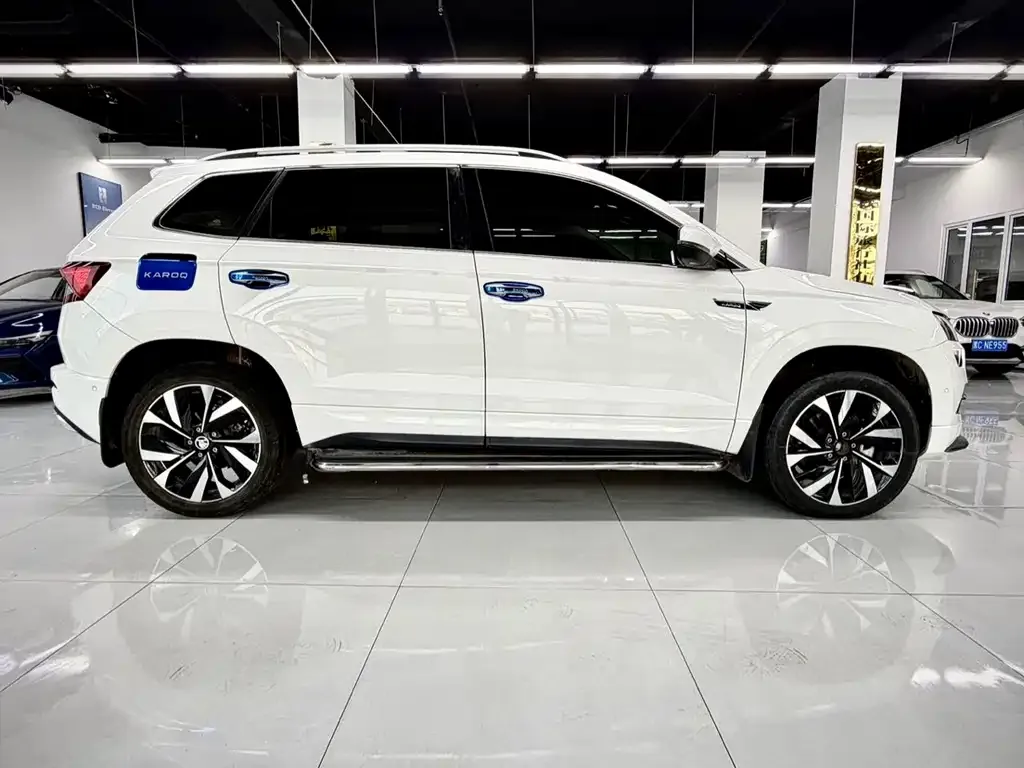Skoda Karoq 2022 из CN, фото 2