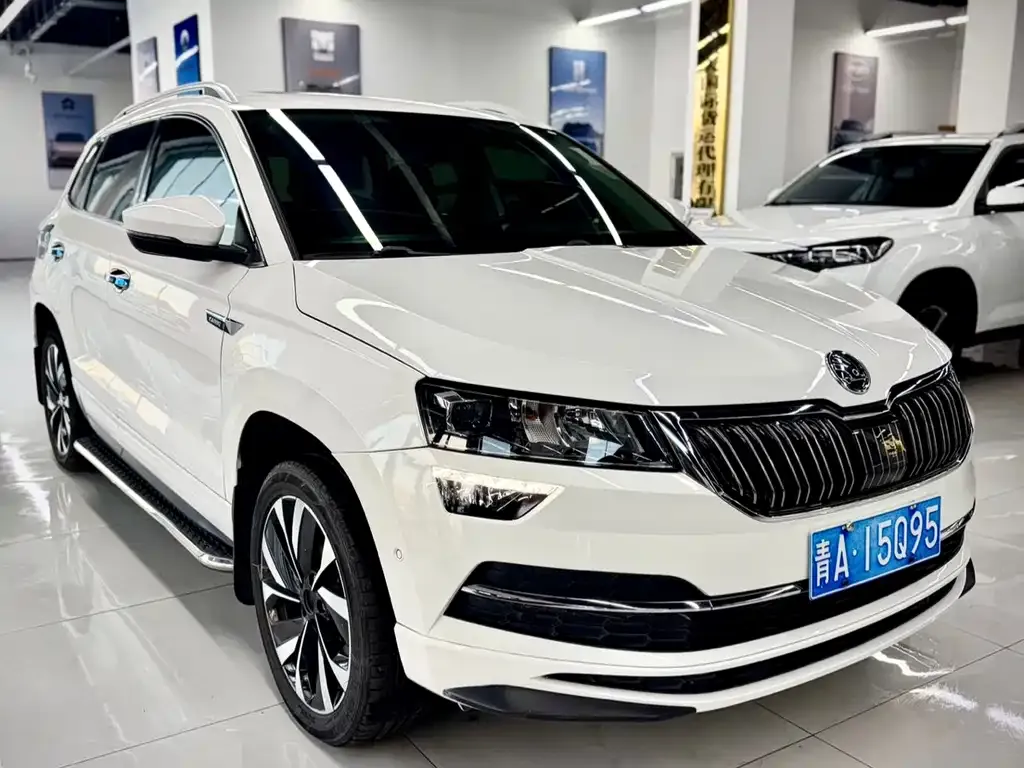 Skoda Karoq 2022 из CN, фото 4