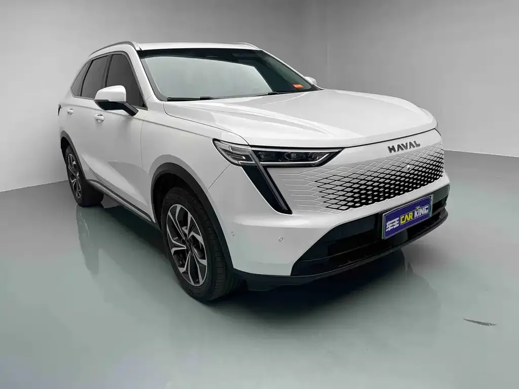 Haval Xiaolong MAX — фото 4