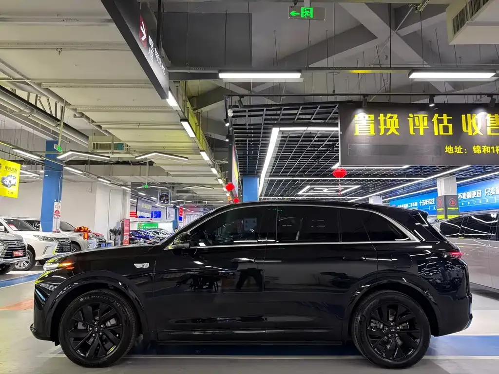 Li Auto L7 2023 из CN, фото 7