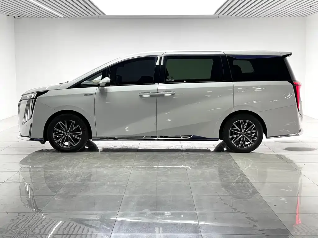GAC Motor Trumpchi M8 2023 из CN, фото 9