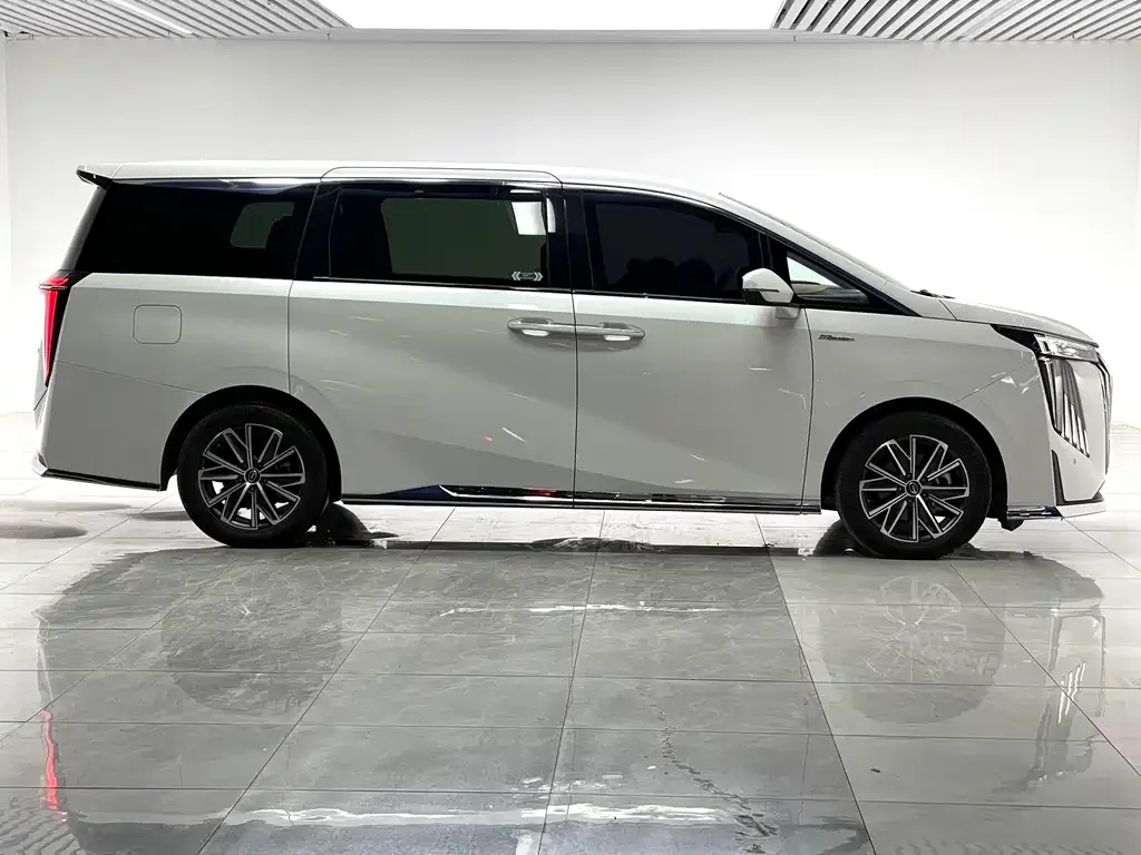 GAC Motor Trumpchi M8 2023 из CN, фото 6