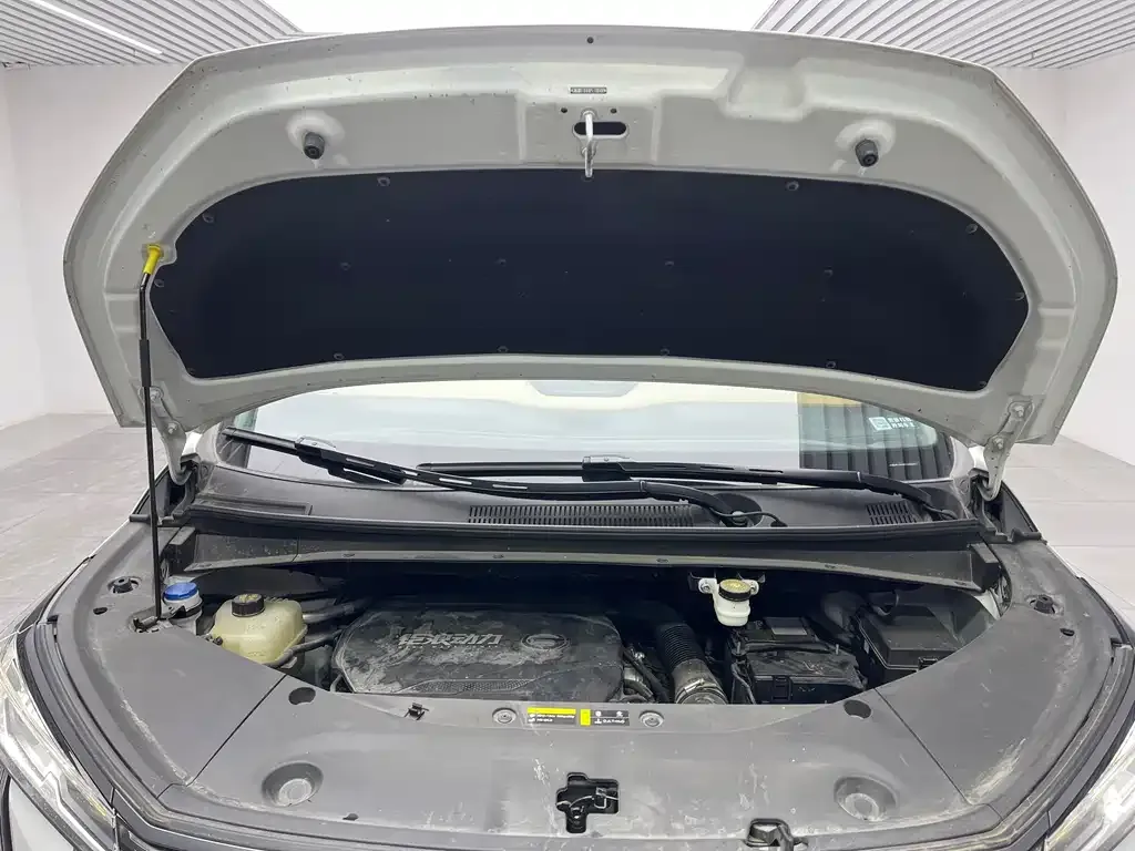 GAC Motor Trumpchi M8 2023 из CN, фото 5