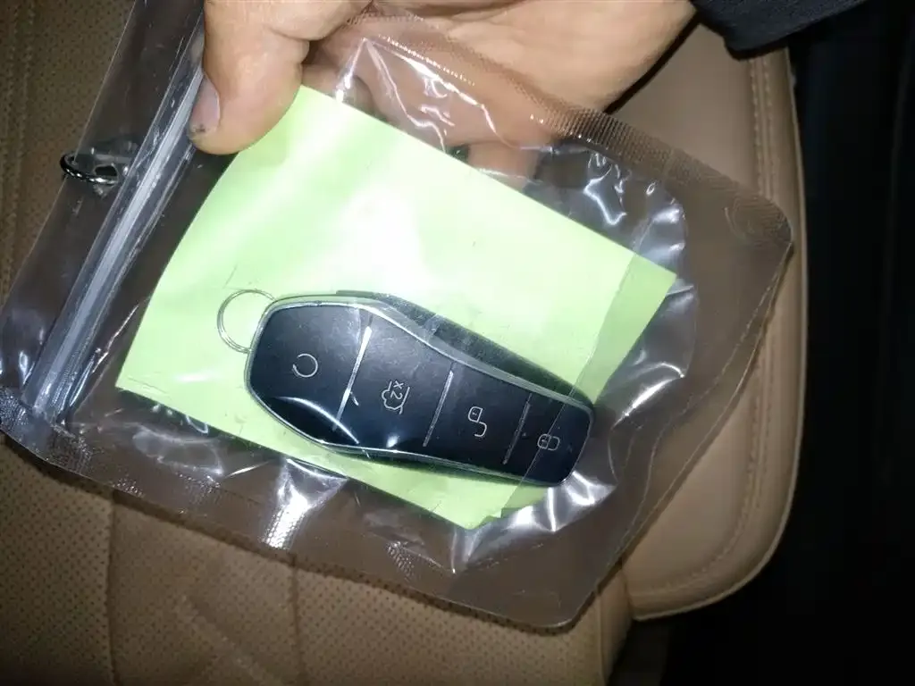 BYD L DM-i 2025 из CN, фото 2
