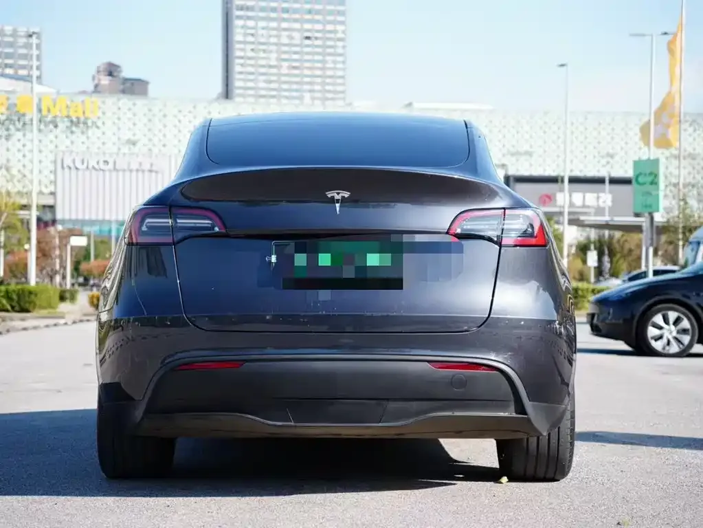 Tesla Model Y — фото 5