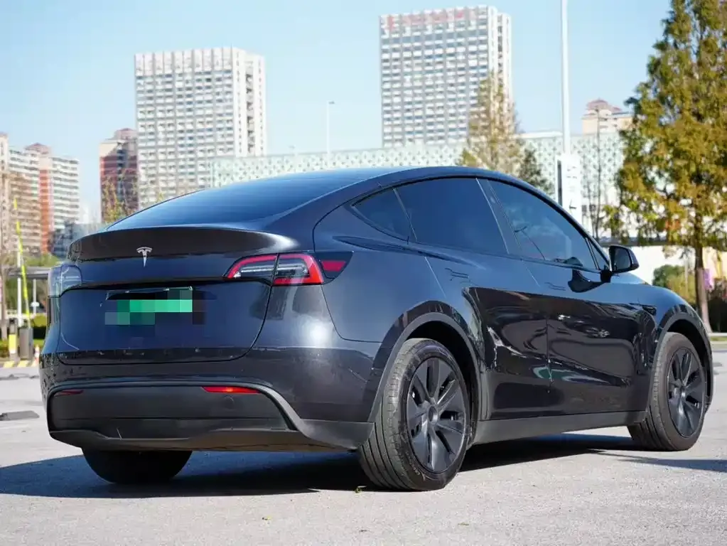Tesla Model Y — фото 6