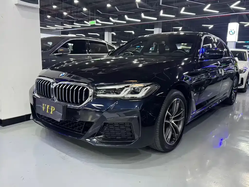 BMW 5 Series 2021 из CN, фото 1