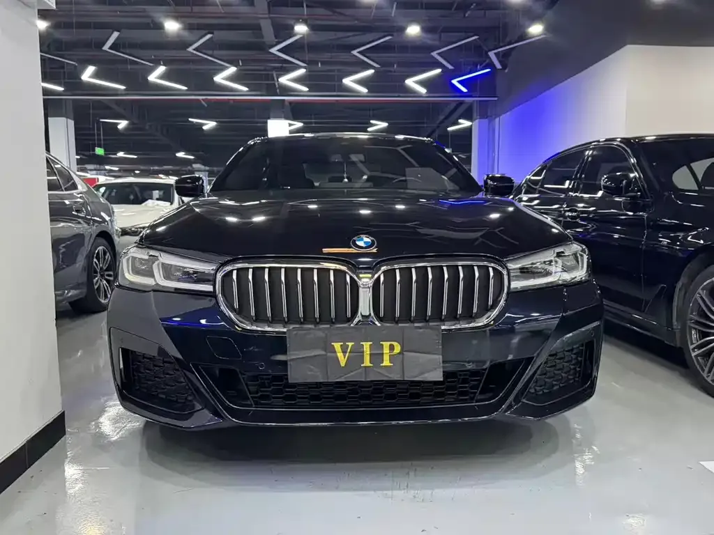 BMW 5 Series 2021 из CN, фото 2