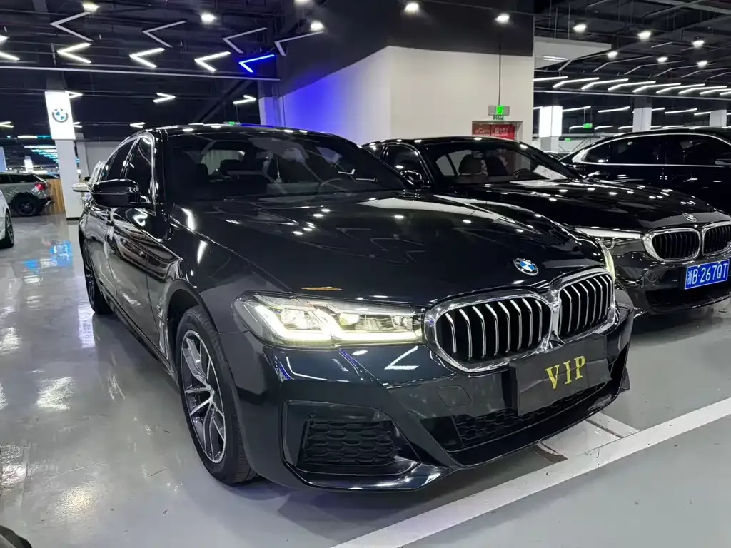 BMW 5 Series 2021 из CN, фото 5