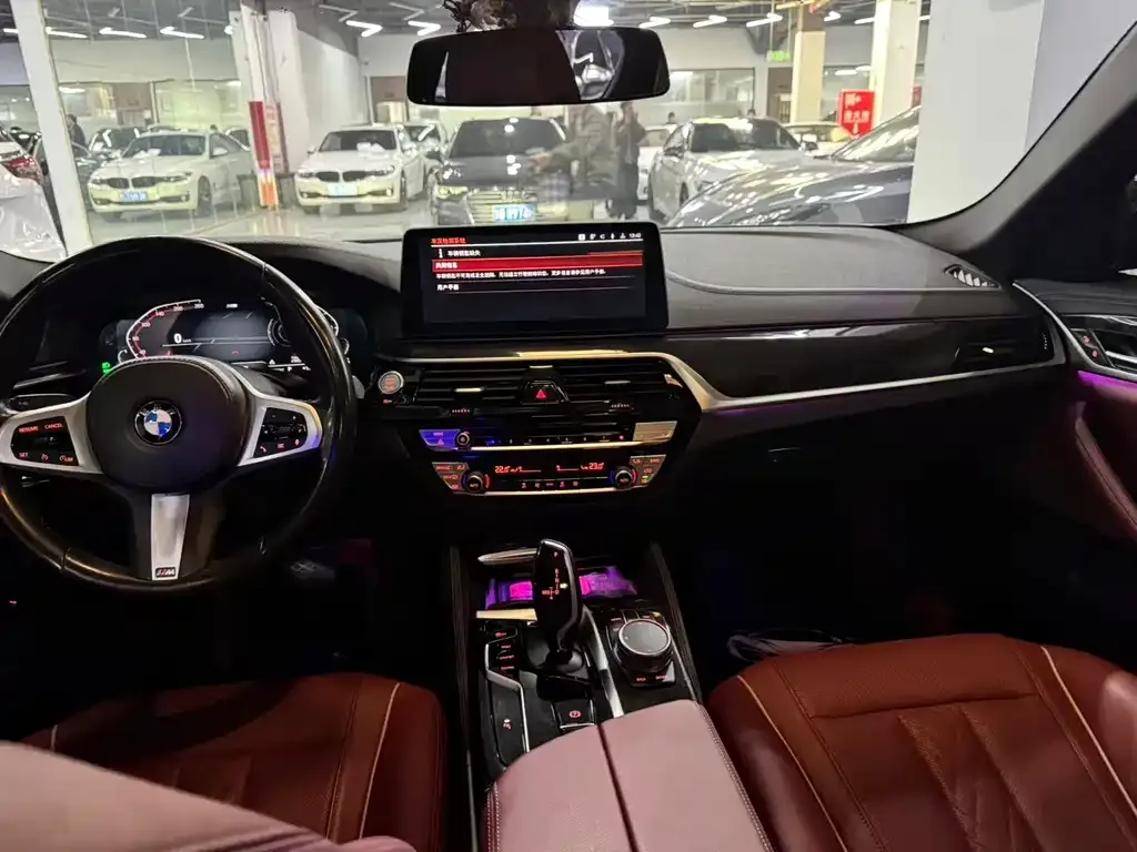 BMW 5 Series 2021 из CN, фото 10