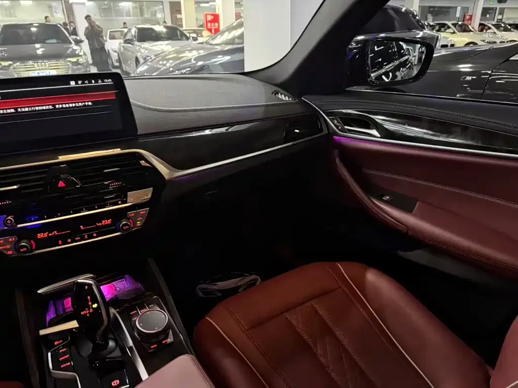 BMW 5 Series 2021 из CN, фото 6