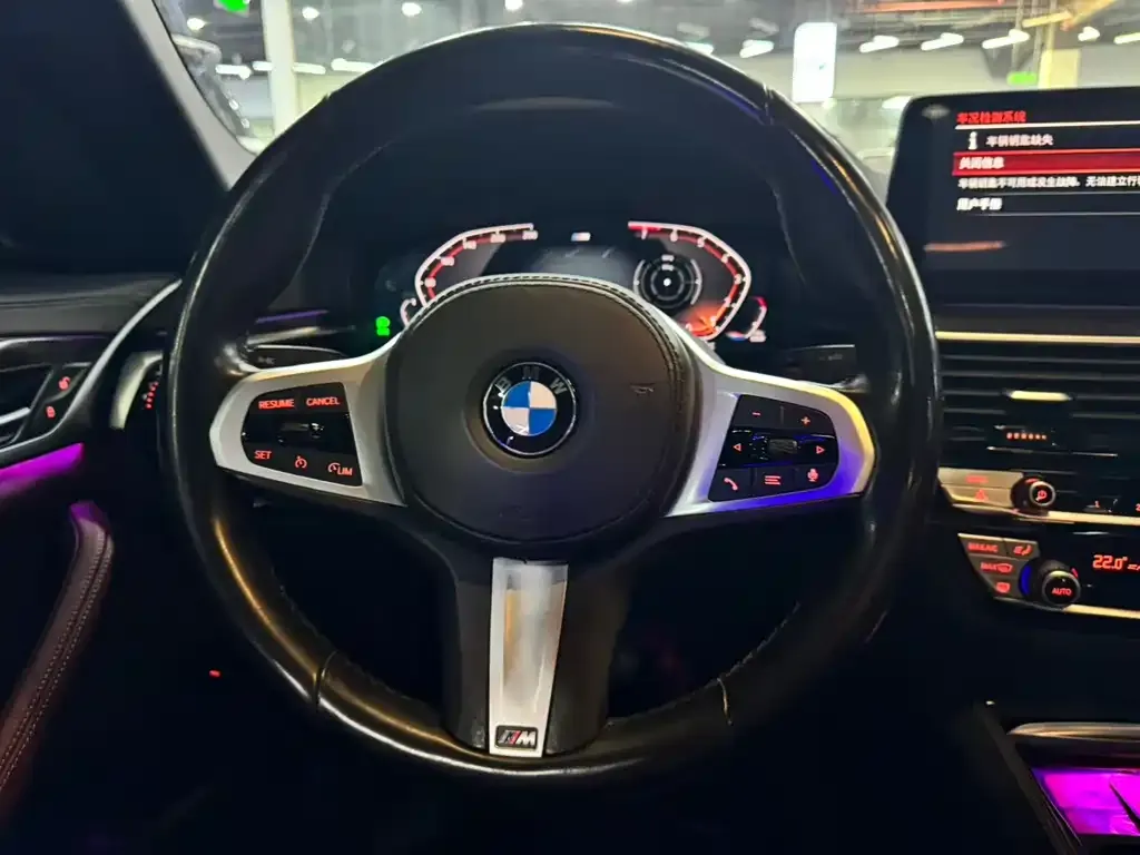BMW 5 Series 2021 из CN, фото 7