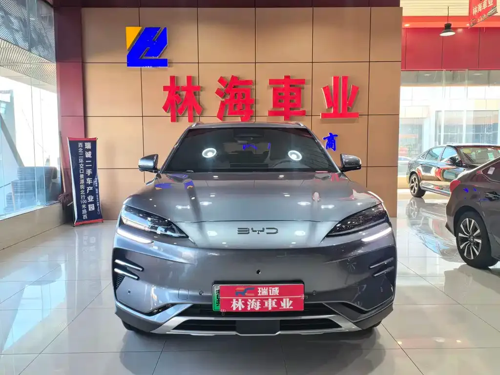 BYD PLUS New Energy 2025 из CN, фото 1
