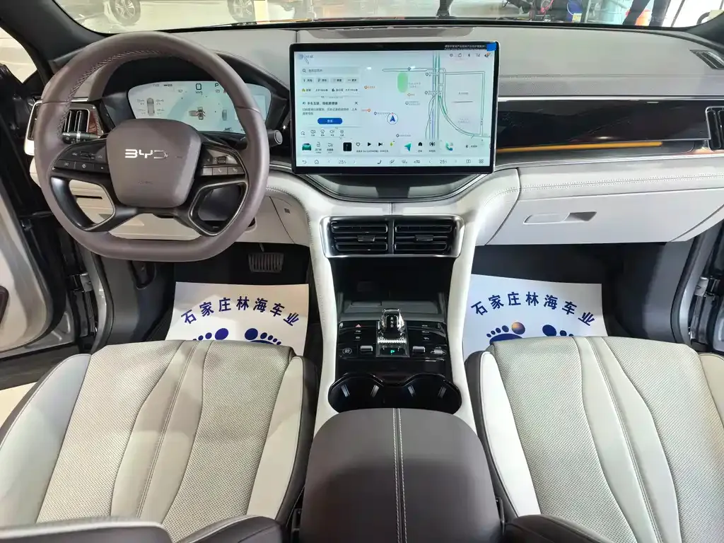 BYD PLUS New Energy 2025 из CN, фото 6