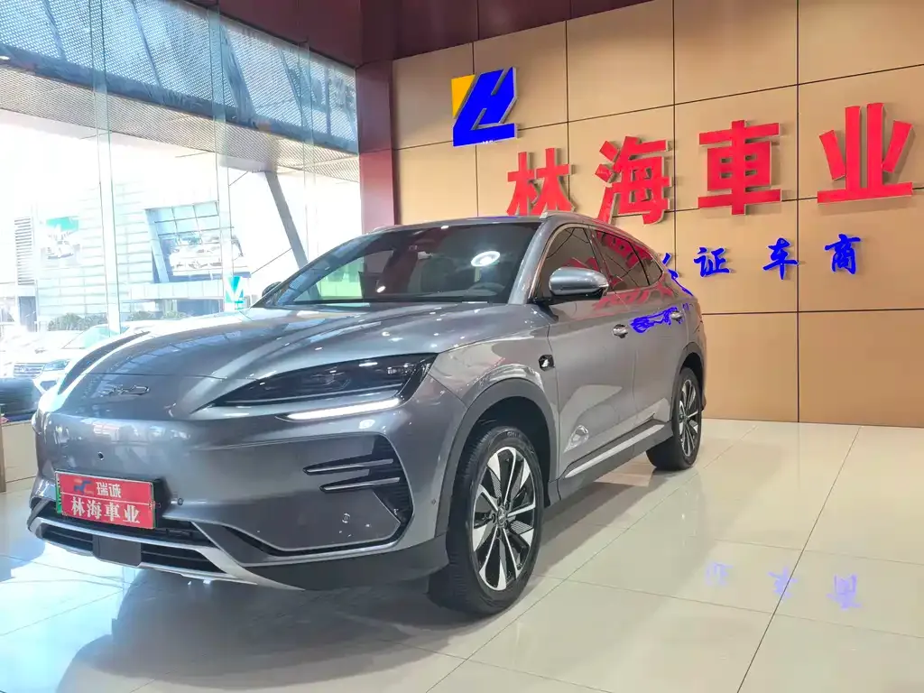 BYD PLUS New Energy 2025 из CN, фото 4