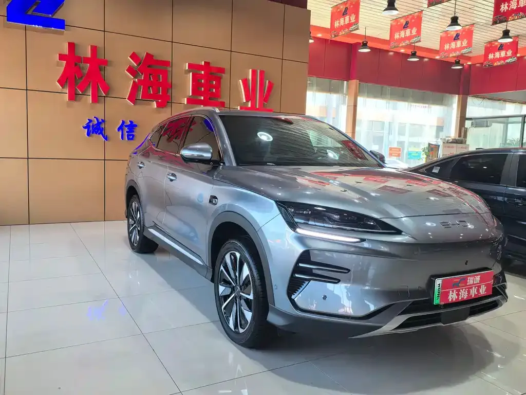 BYD PLUS New Energy 2025 из CN, фото 10