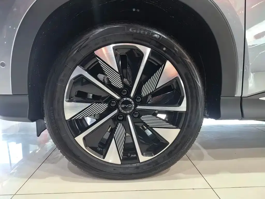 BYD PLUS New Energy 2025 из CN, фото 8