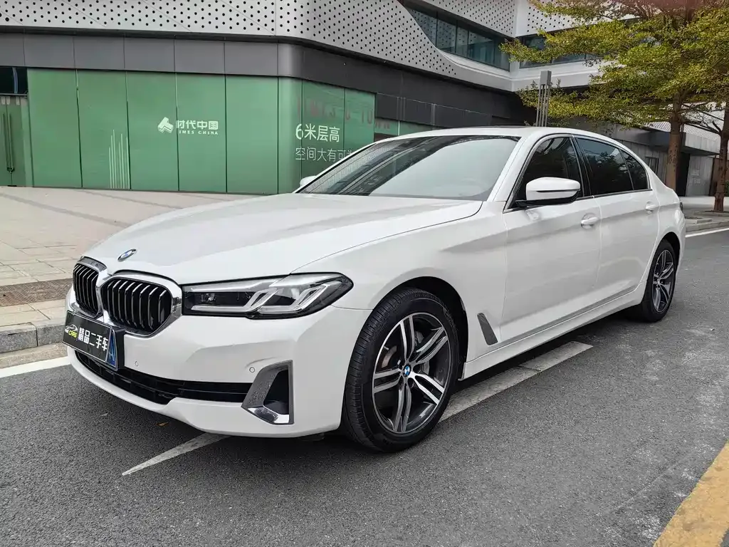 BMW 5 Series 2021 из CN, фото 1