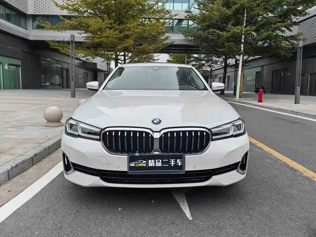 BMW 5 Series 2021 из CN, фото 9