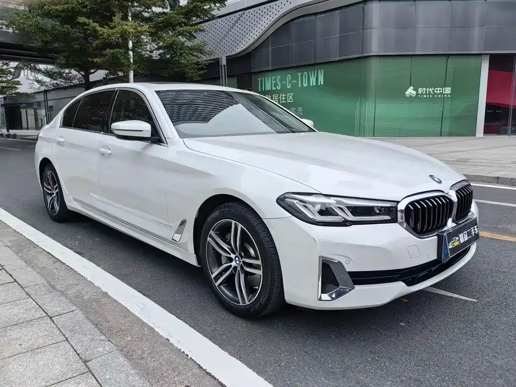 BMW 5 Series 2021 из CN, фото 5