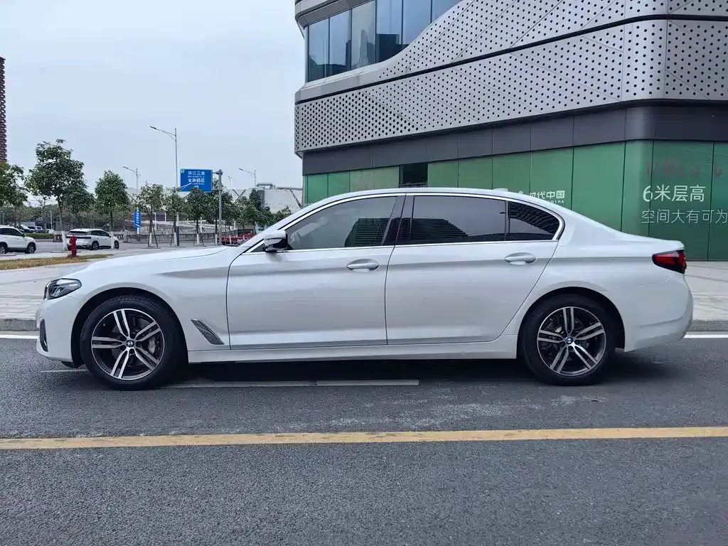 BMW 5 Series 2021 из CN, фото 3