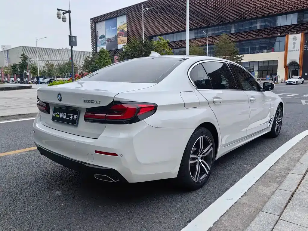 BMW 5 Series 2021 из CN, фото 4