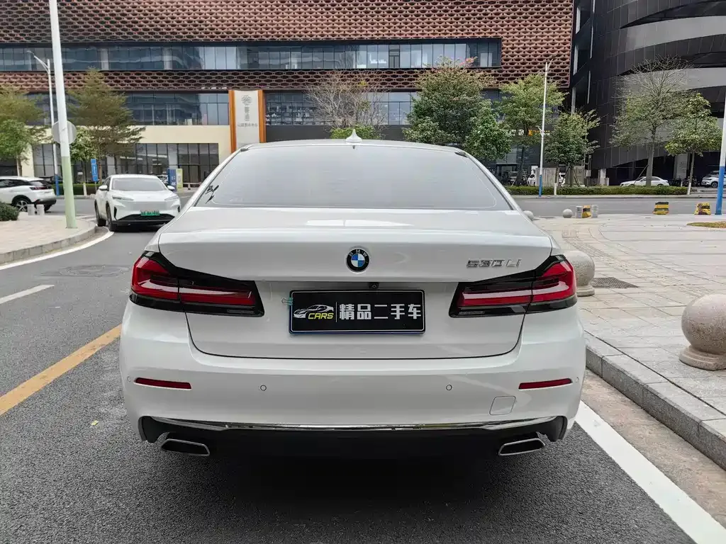 BMW 5 Series 2021 из CN, фото 8