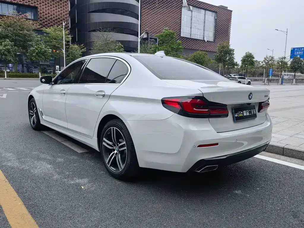 BMW 5 Series 2021 из CN, фото 10