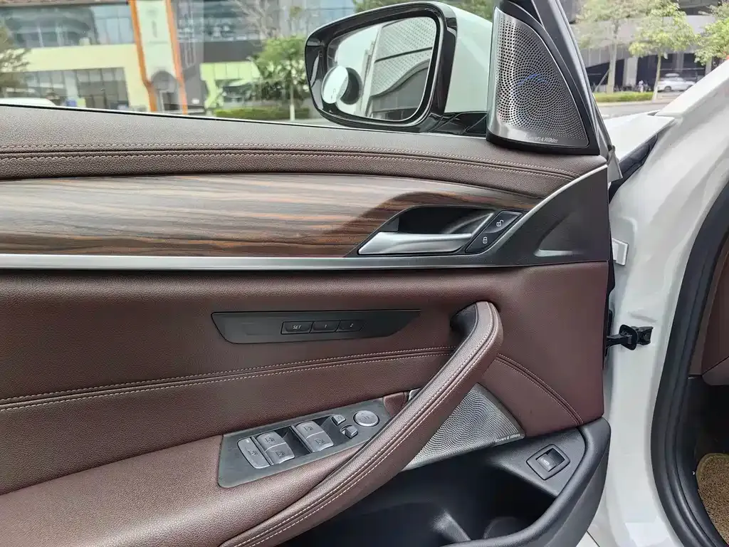 BMW 5 Series 2021 из CN, фото 7