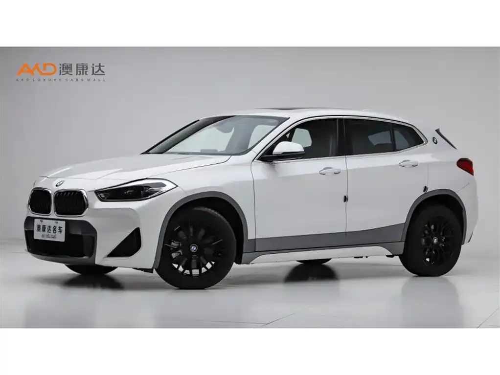 BMW X2 — фото 1