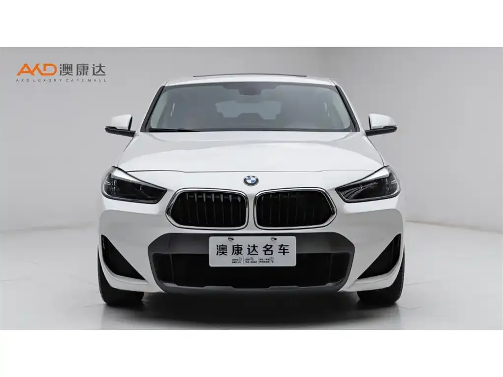BMW X2 — фото 10