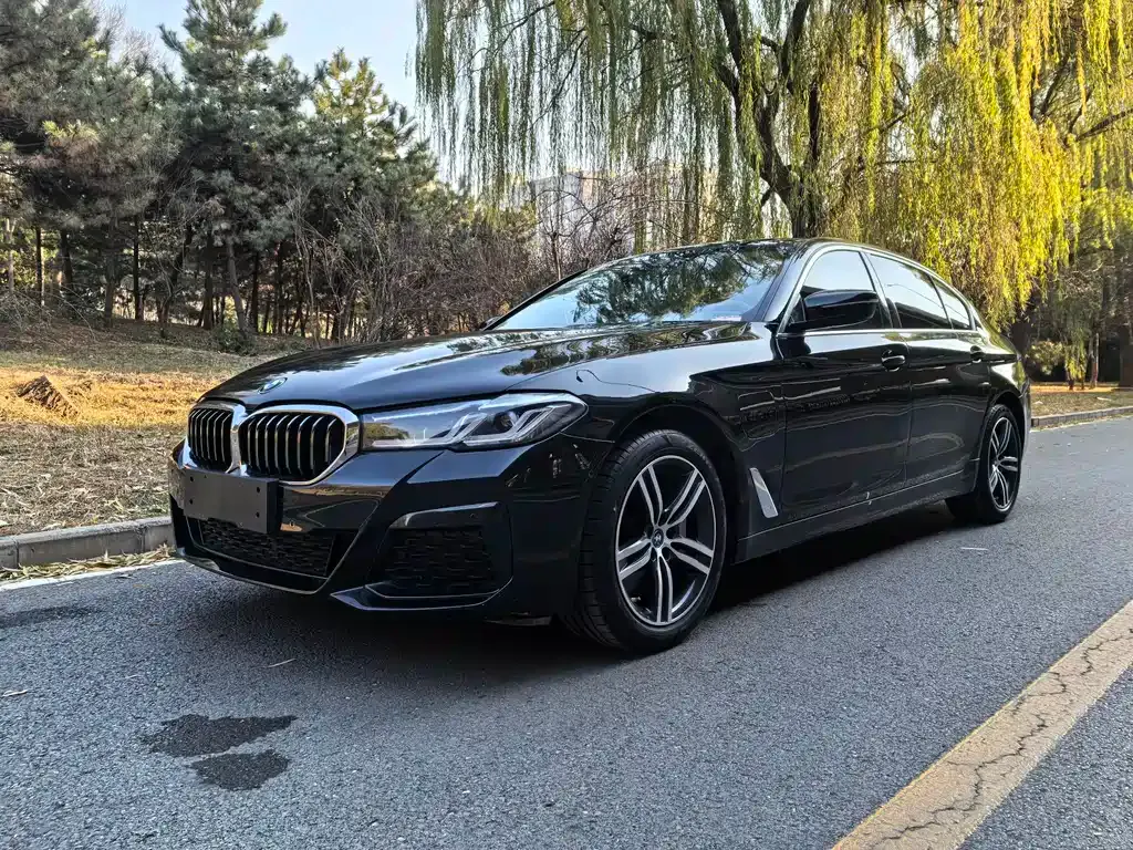 BMW 5 Series New Energy 2022 из CN, фото 1