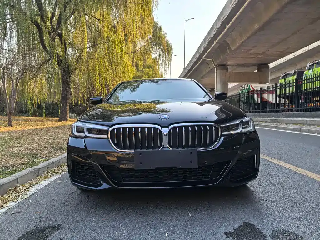BMW 5 Series New Energy 2022 из CN, фото 8