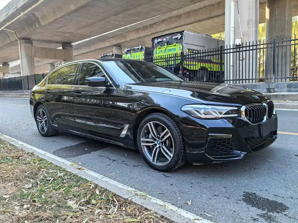 BMW 5 Series New Energy 2022 из CN, фото 9