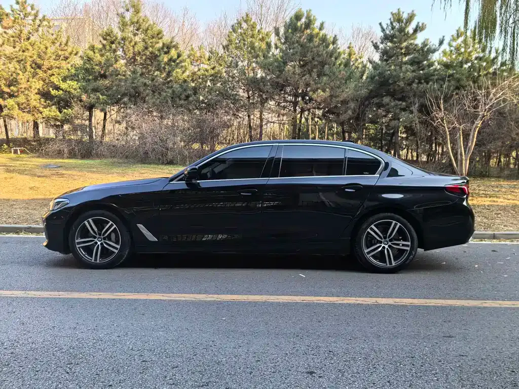 BMW 5 Series New Energy 2022 из CN, фото 10